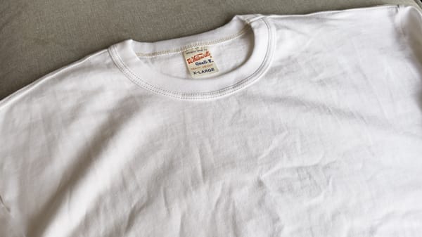 Whitesville 2-Pack T-Shirt Review: Are Loopwheel Tees Worth the Price?